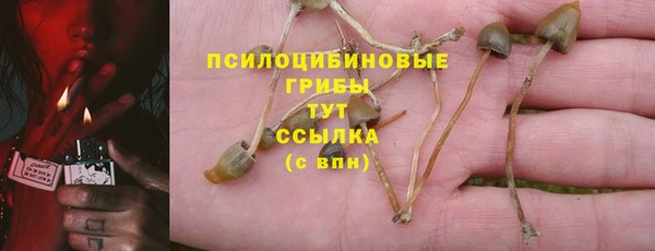 ПСИЛОЦИБИНОВЫЕ ГРИБЫ Абинск