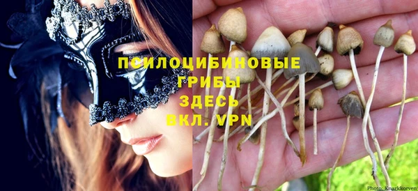 мескалин Абаза