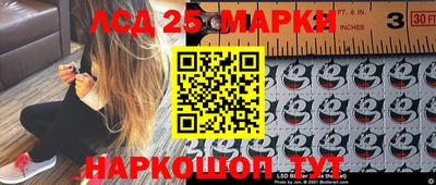 стафф Новозыбков