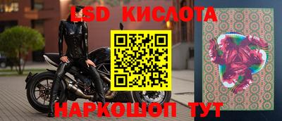 стафф Новозыбков
