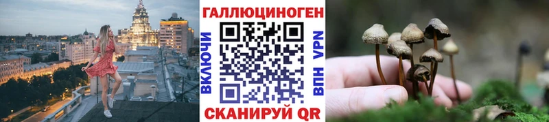 Псилоцибиновые грибы прущие грибы кракен зеркало Стерлитамак