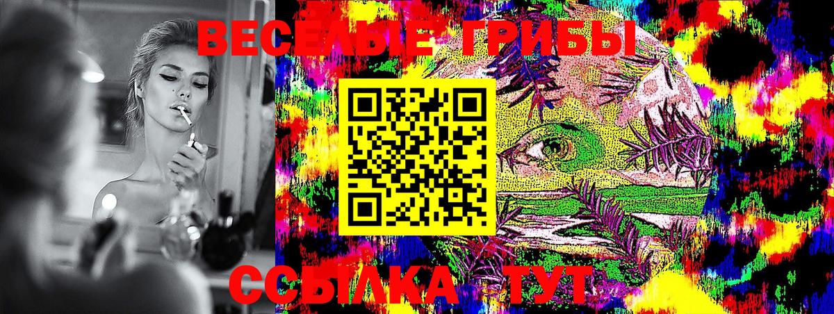 Псилоцибиновые грибы Magic Shrooms  Вход с VPN  Стерлитамак 