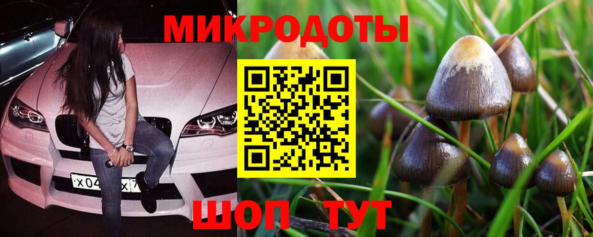 Псилоцибиновые грибы Magic Shrooms Стерлитамак